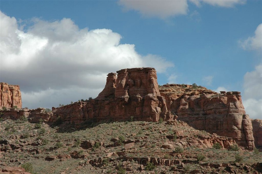 078. I'm sorry...I'll deleting these..jpg