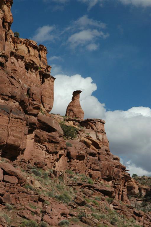 079. Watch out Roadrunner...I see an ACME box..jpg