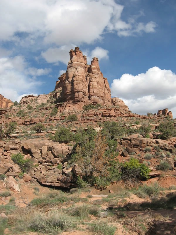 095. Now, for a brief Ansel interlude..jpg