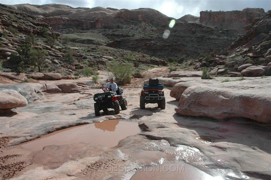 104. Steve decides it's playtime..jpg