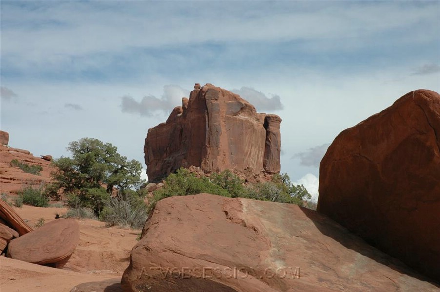 035. Guess who shot this...first doesn't count..jpg