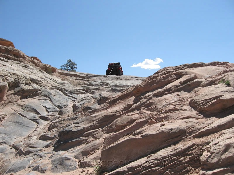 085. A good look up, as I set my rig as a 2nd safety line..jpg