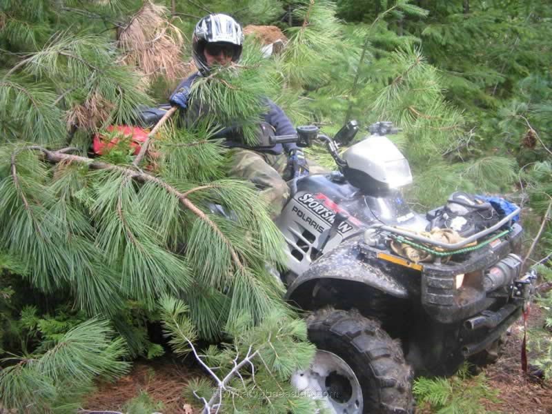 053. Terry hides..then blows his siren..jpg