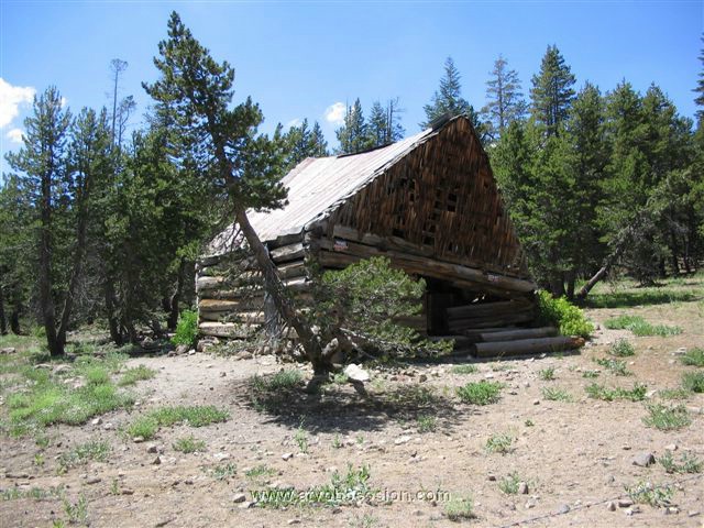 11. No wonder they named shit, Mud and Tragedy..their house was falling down..jpg