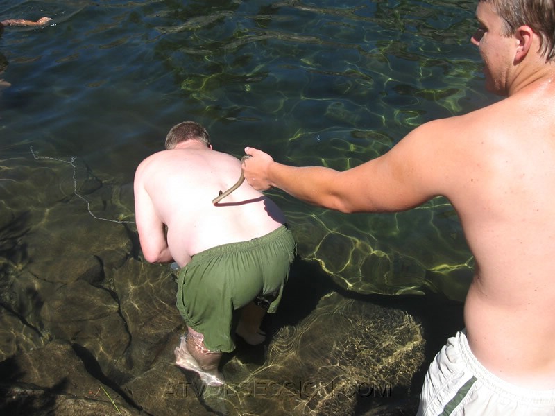 53. Hey Bill...you got a bug on your back, let me get it off..jpg