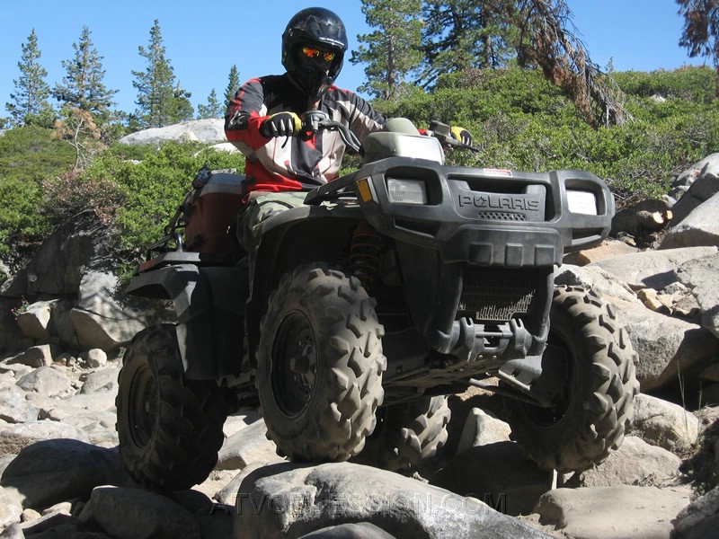 65. Looks like an Avatar to me!..jpg