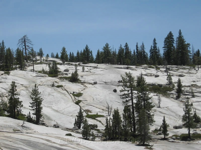 216. A little zoom to see them better..jpg