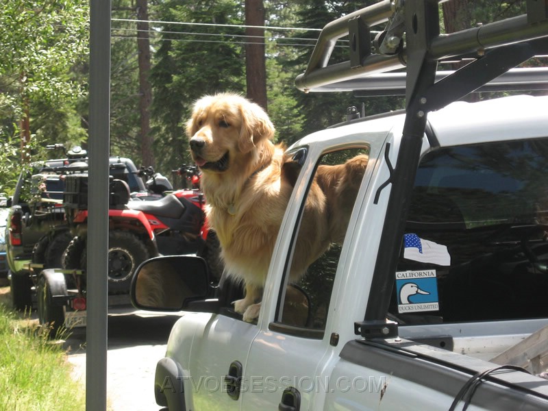 02. Gerico is ready to go!.jpg