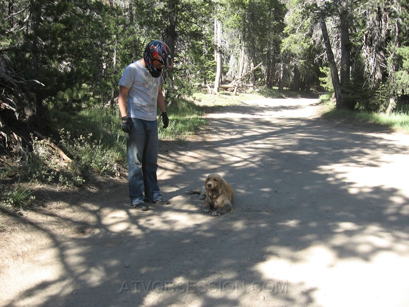 26. Gerico is pooped...and won't move anymore..jpg