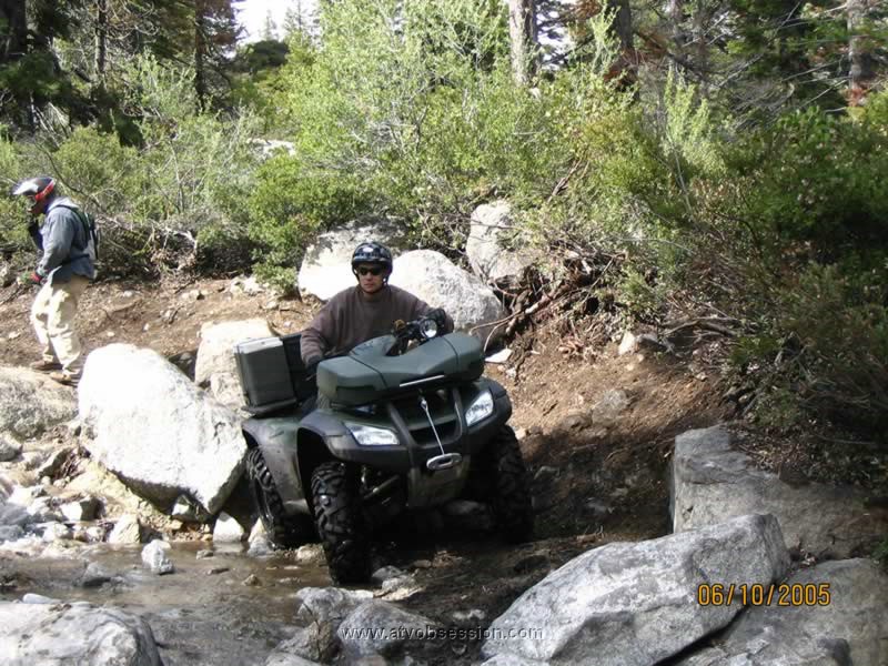 14. Lizard works his way down too..jpg