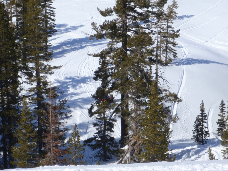 53. Uh oh..Scott is stuck..jpg