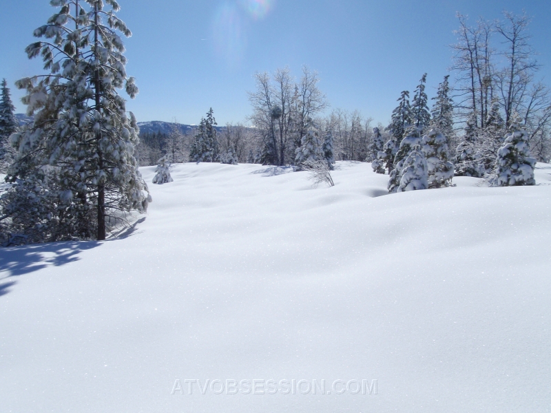 03. Big storm, fluffy virgin snow!.jpg