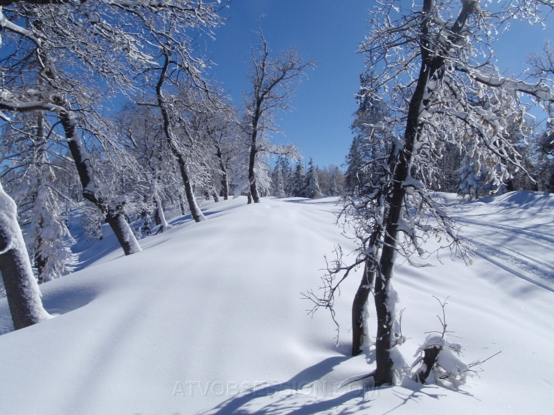 08. Snow was perfect..jpg