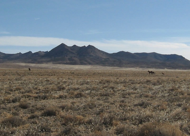 033. He waits for his 2 bitches and the kid to catch up..jpg