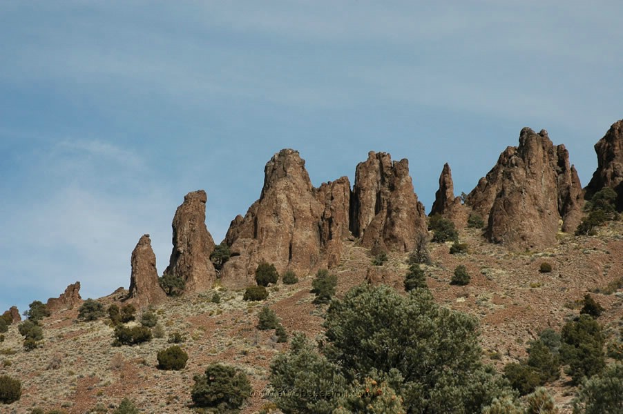 127. Another sucky shot..jpg