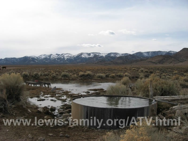 137. A bunch of cows at their water hole..jpg