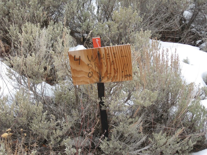 165. We head up this road...Gee..I hope we can make it!.jpg