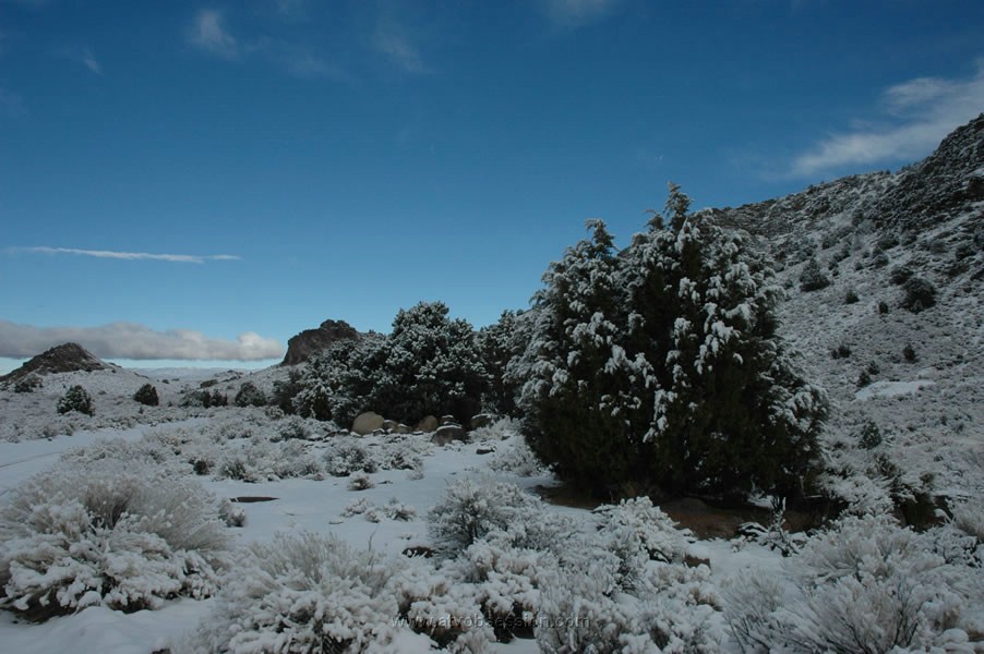 236. Near the mine from yesterday..jpg