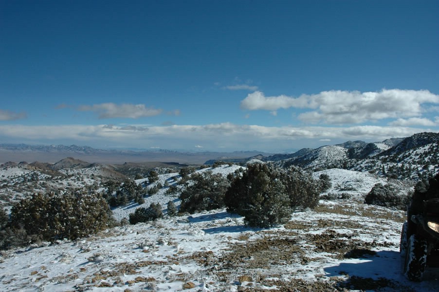 261. And another..jpg