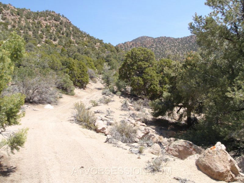 039. The road got steeper in the canyon, as we climbed..jpg