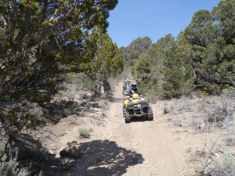 044. Wagon train..jpg