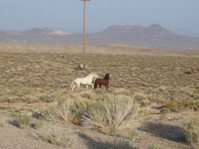 126. And starts playing with this one..jpg