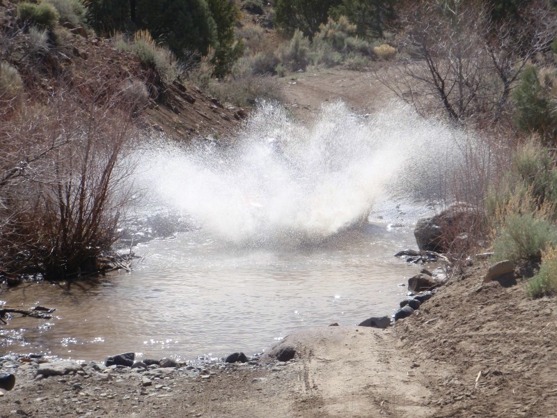 34. And again...yeah, he's there..jpg