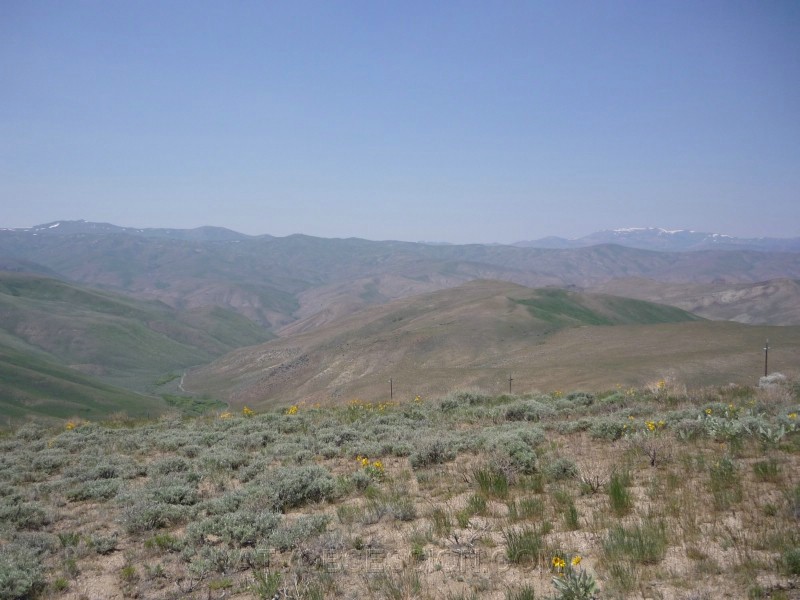 34.We came from waaay down there.jpg