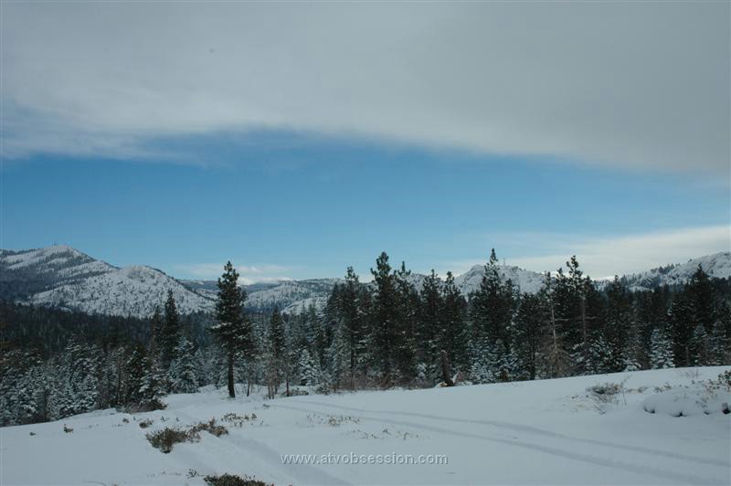 033. A Larry shot..jpg