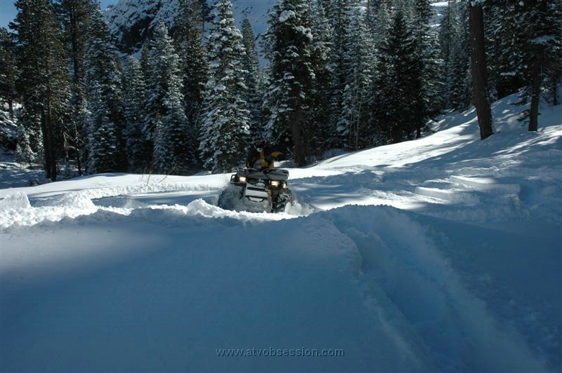 051. Doughnuts for days..jpg