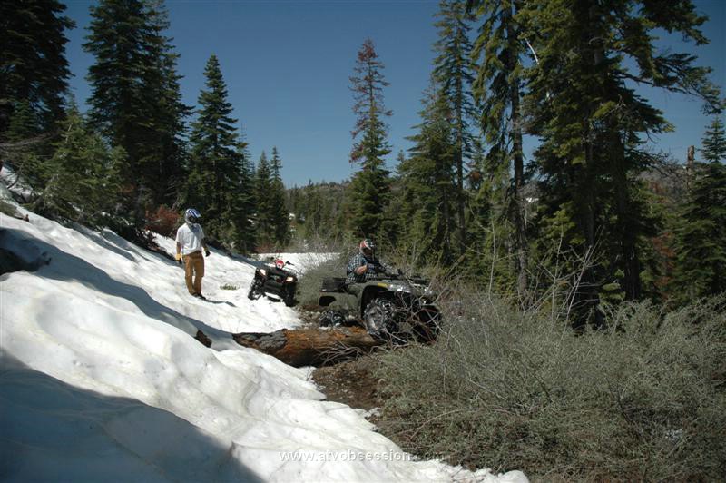 32. Shortly After Hopping Over This Downed Log..jpg