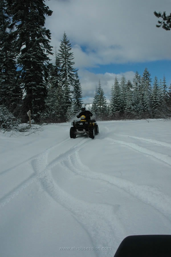 34. And follows his wife's tracks..jpg