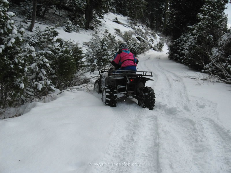 43. Someone hauled a little too much ass....jpg