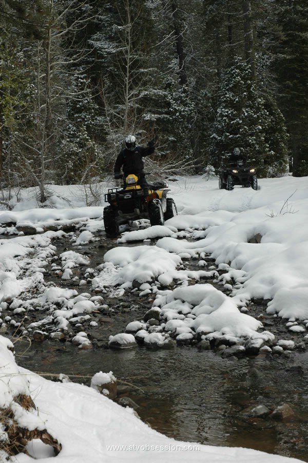 46. Yeah..I think he likes it..jpg