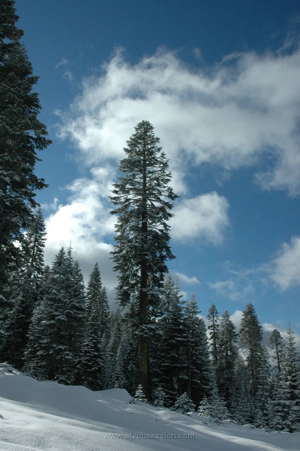 64. Something more my size...jpg