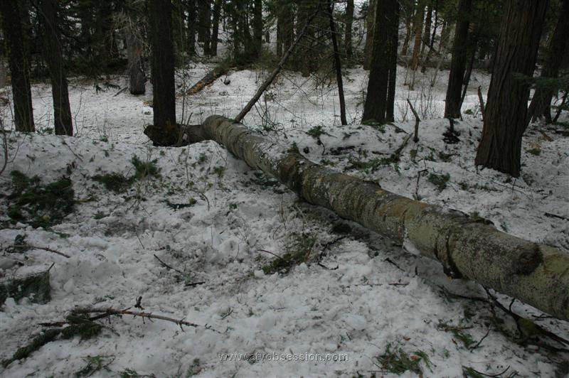 63. I Guess We'll Go Over It!.jpg